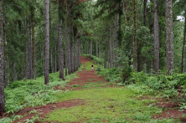 A l'arrivée sur le plateau (Photo d'illustration)