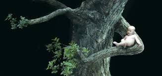 Conférence environnementale: la Fondation Nicolas Hulot rend publiques 22 revendications