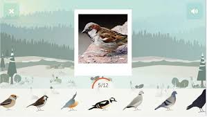 Une application pour contribuer à mieux connaître les oiseaux