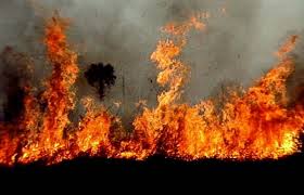 La Nouvelle-Calédonie en proie à la multiplication des feux de forêt