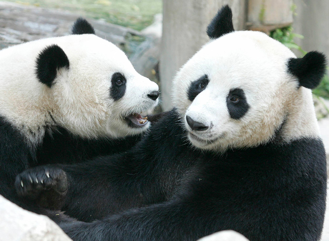 PORNCHAI KITTIWONGSAKUL / AFP