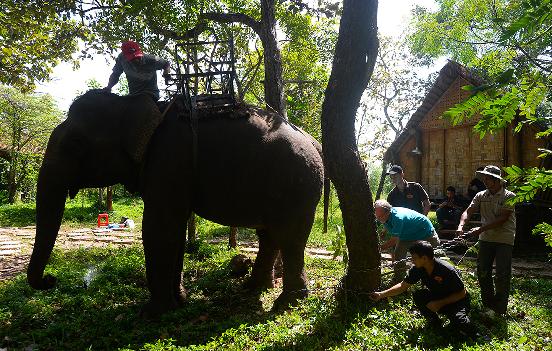 HOANG DINH NAM / AFP