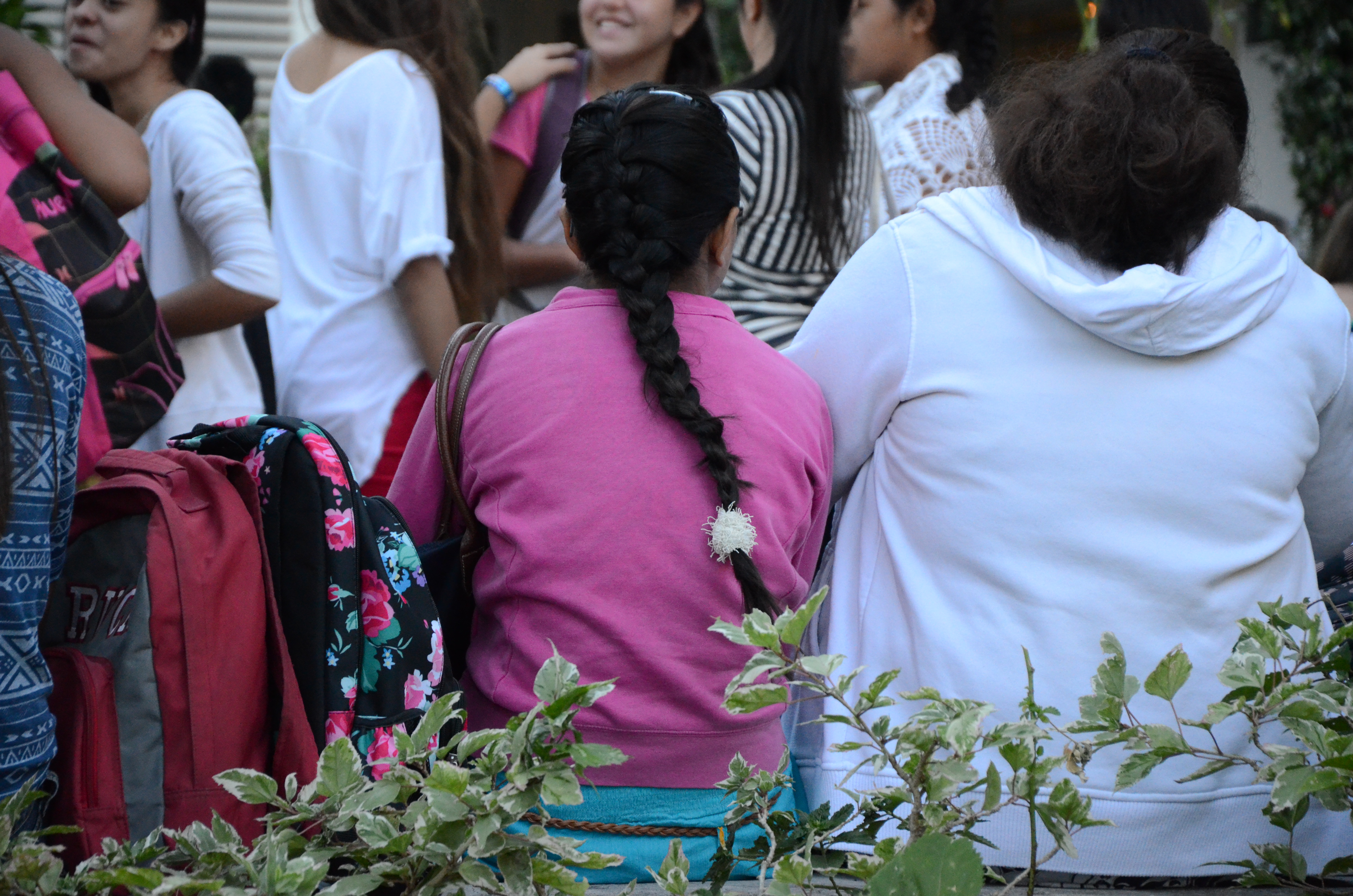 Les archipels se préparent à un pic de chikungunya