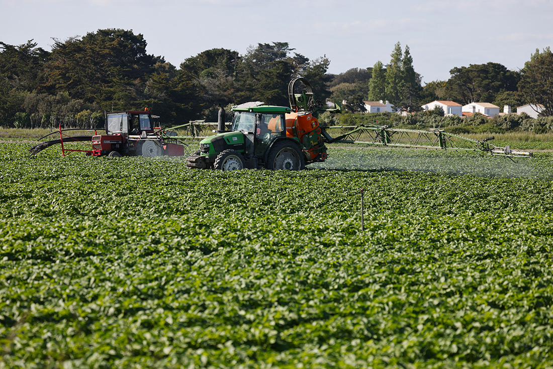 Crédit LUDOVIC MARIN / AFP