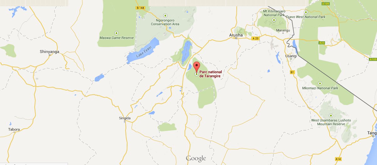 Tanzanie: six lions tués par des Masaï dans le nord