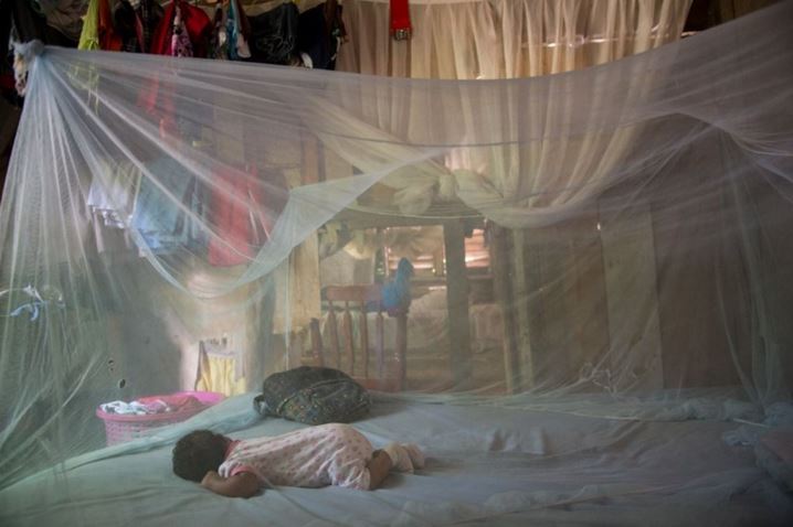 Recul de l'épidémie de chikungunya en Polynésie