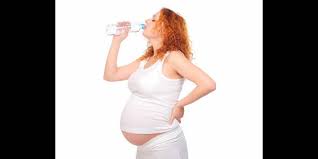 L'exposition au bisphénol au stade embryonnaire causerait de l'hyperactivité