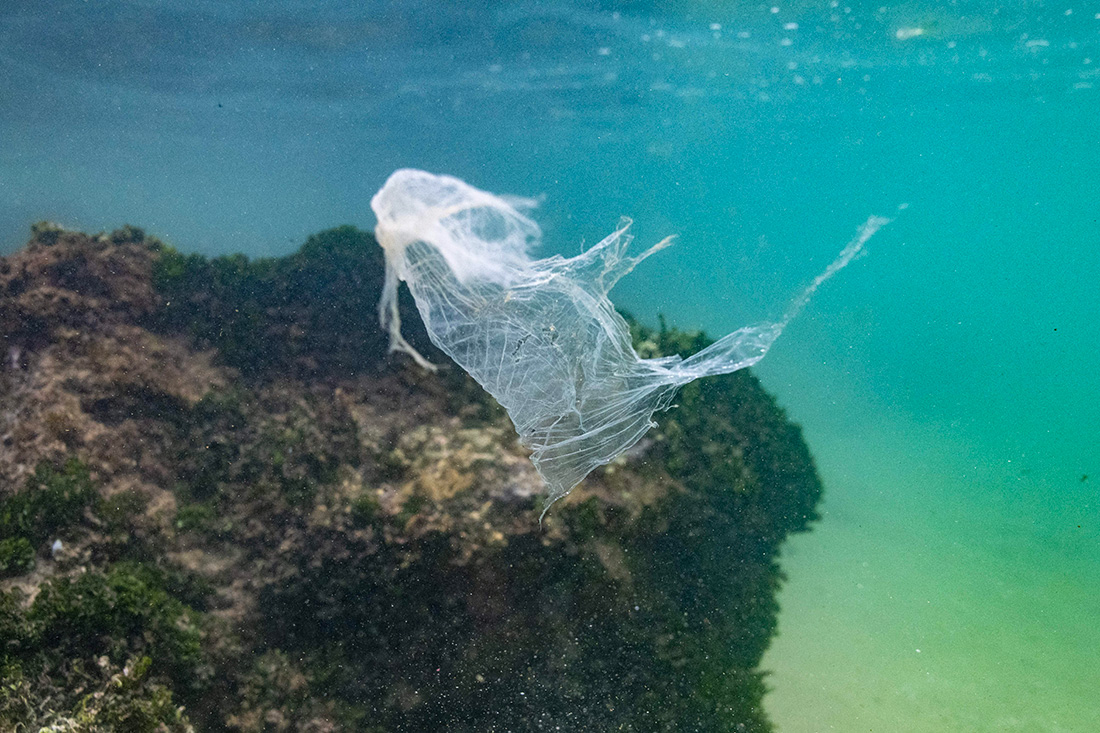 Crédit Olivier MORIN / AFP