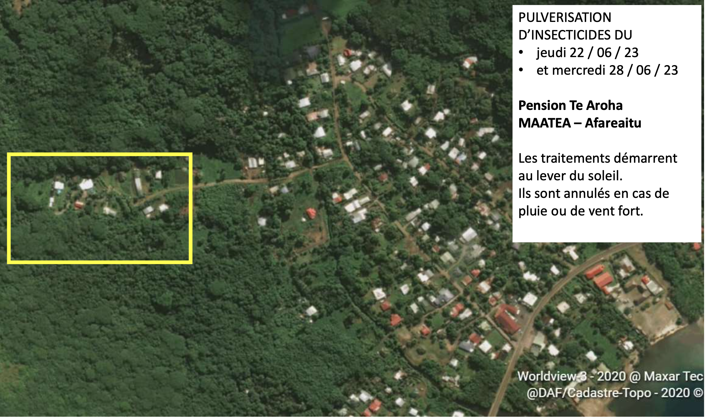 Premier cas de dengue recensé depuis deux ans