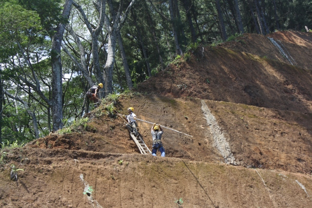 L'emploi salarié en hausse en novembre
