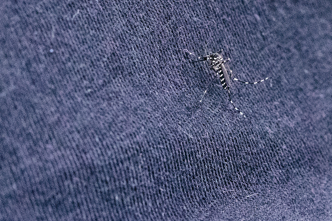 Crédit ABDESSLAM MIRDASS / AFP