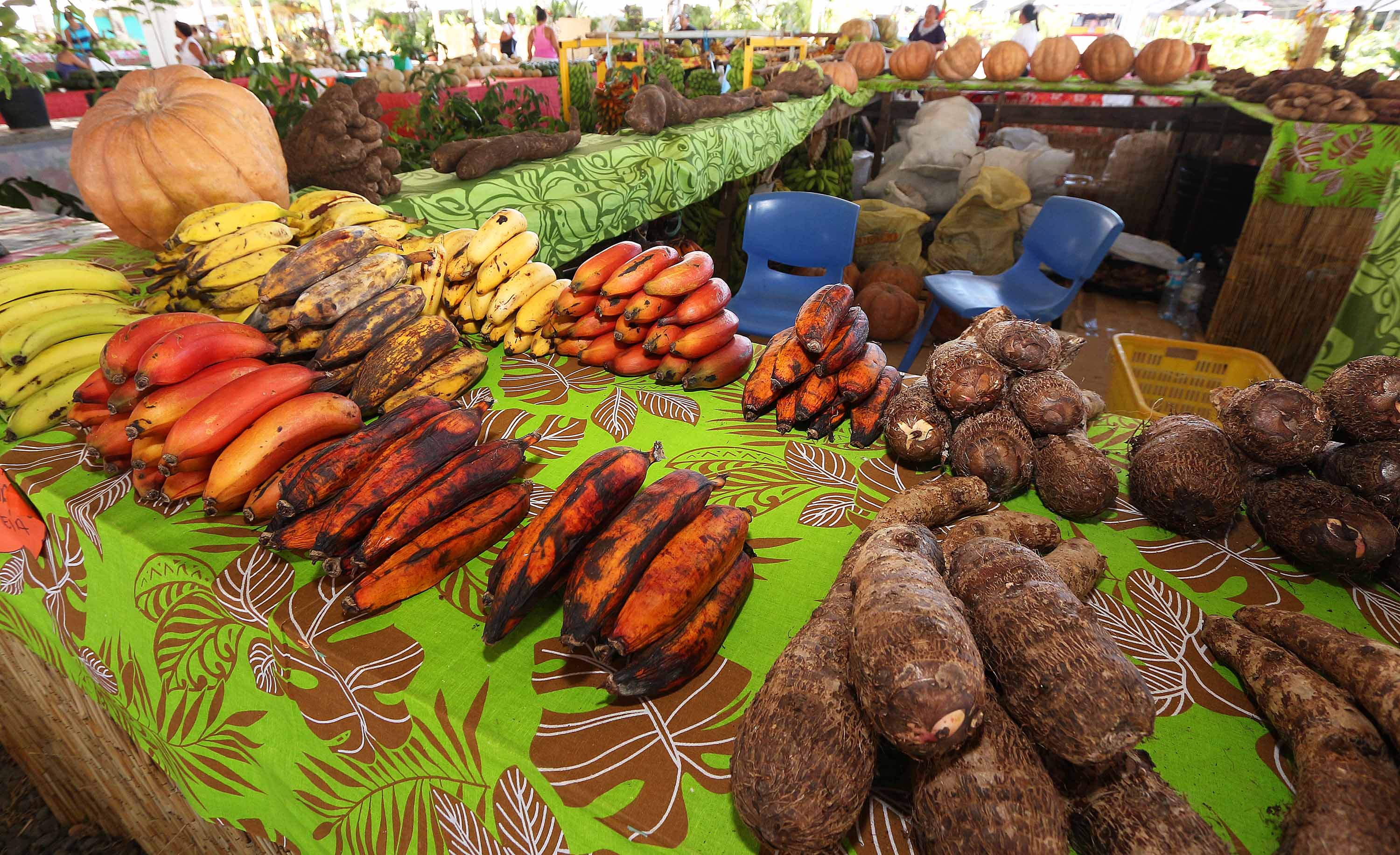 Aides à la relance à l’agriculture : commission d’attribution des aides Ara