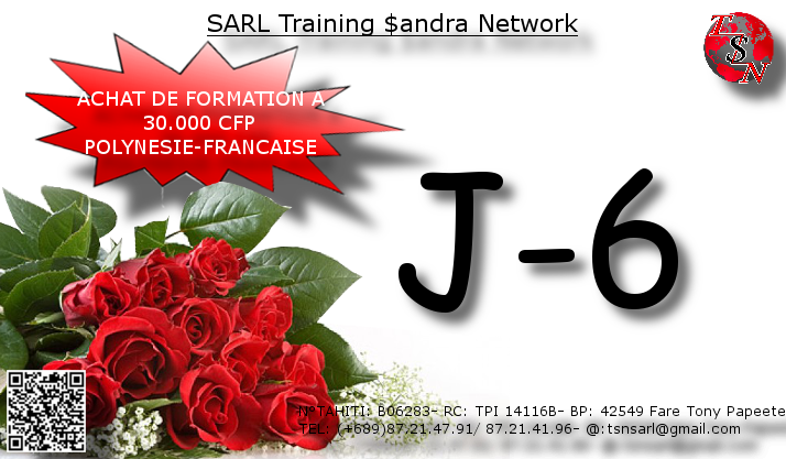 Un exemple de flyer de TSN