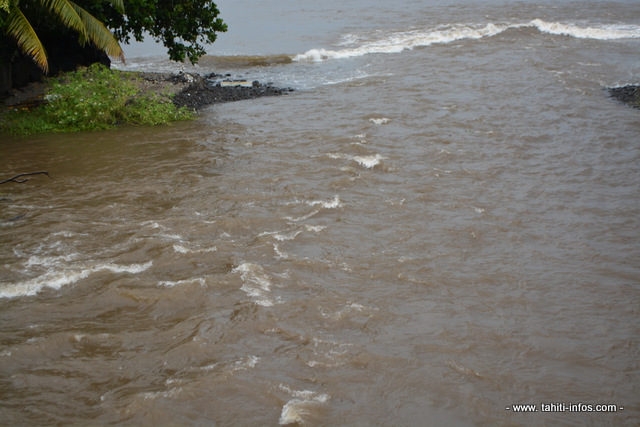 Quand l'eau d'une rivière est marron, il est vivement conseillé de ne pas se baigner pour ne pas être en contact avec les bactéries.