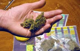 Il jette par la fenêtre du cannabis qui tombe entre les mains de policiers