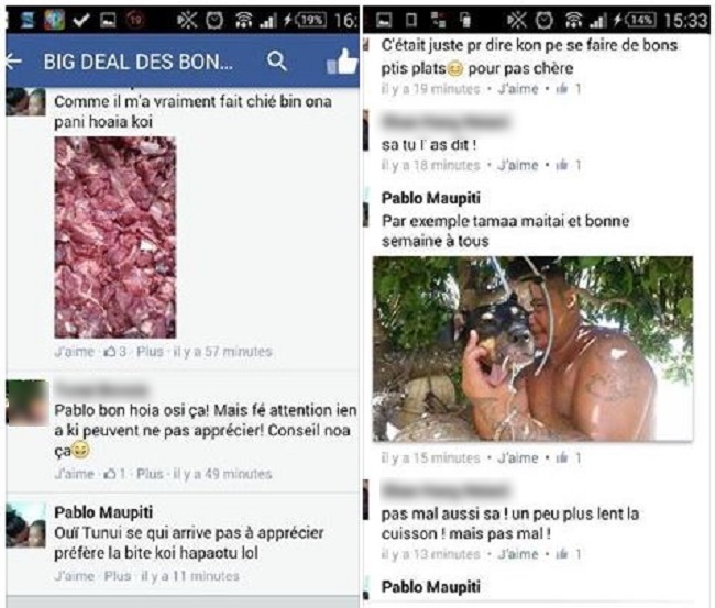 Voilà de quoi est partie cette affaire de chien décapité, d'une publication sur Facebook.