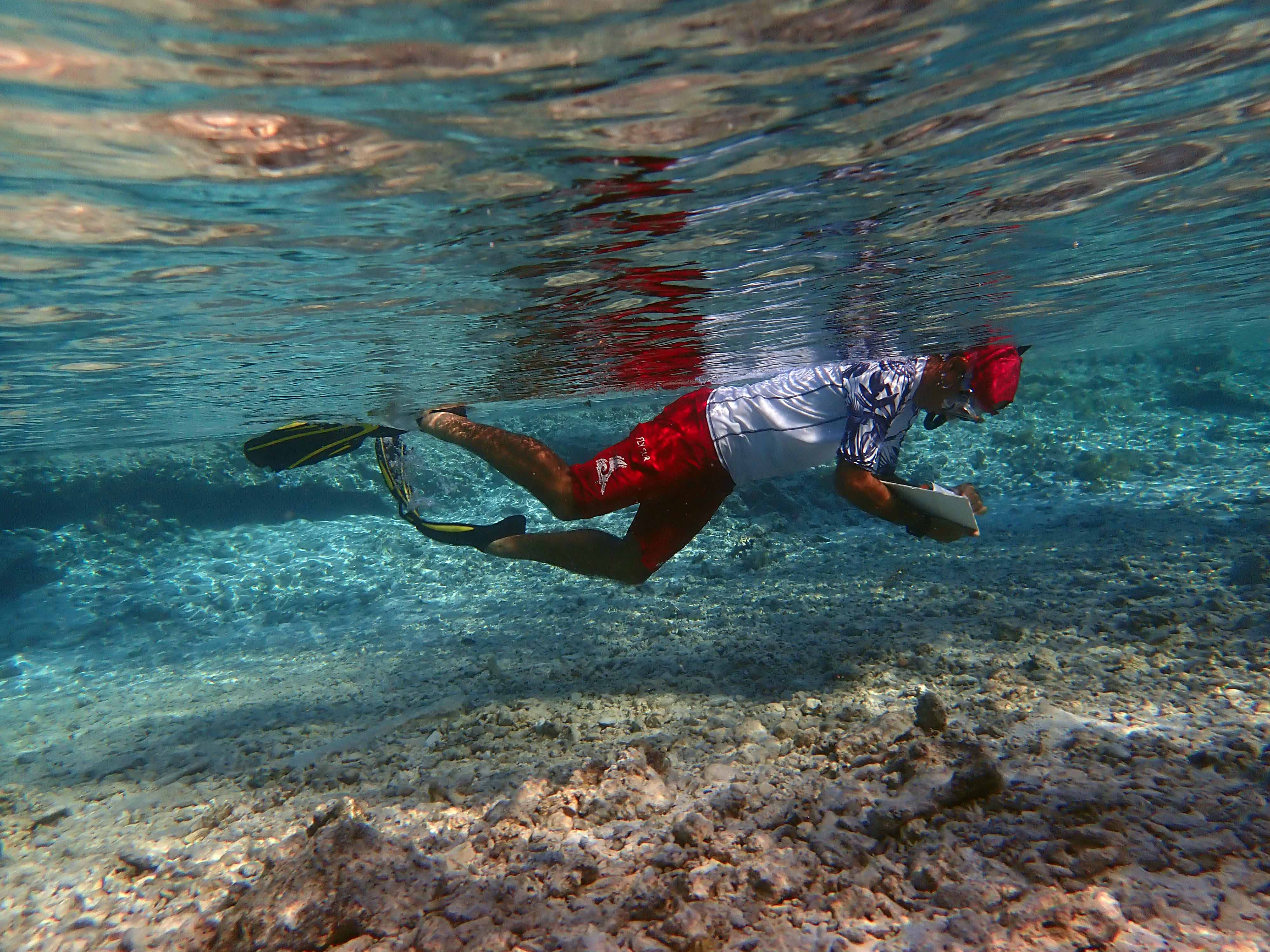 Crédit : David Lecchini.