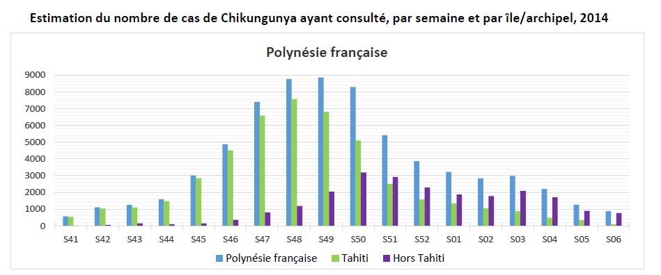 Moins de 800 nouveaux cas de chikungunya en une semaine : l'épidémie en très net recul
