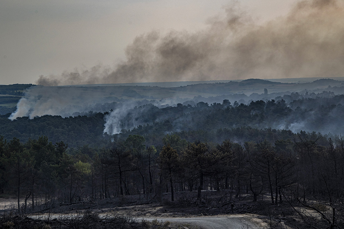 Crédit Nicolas Economou / AFP