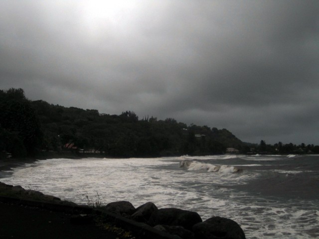 Leptospirose : quatre nouveaux cas en deux semaines