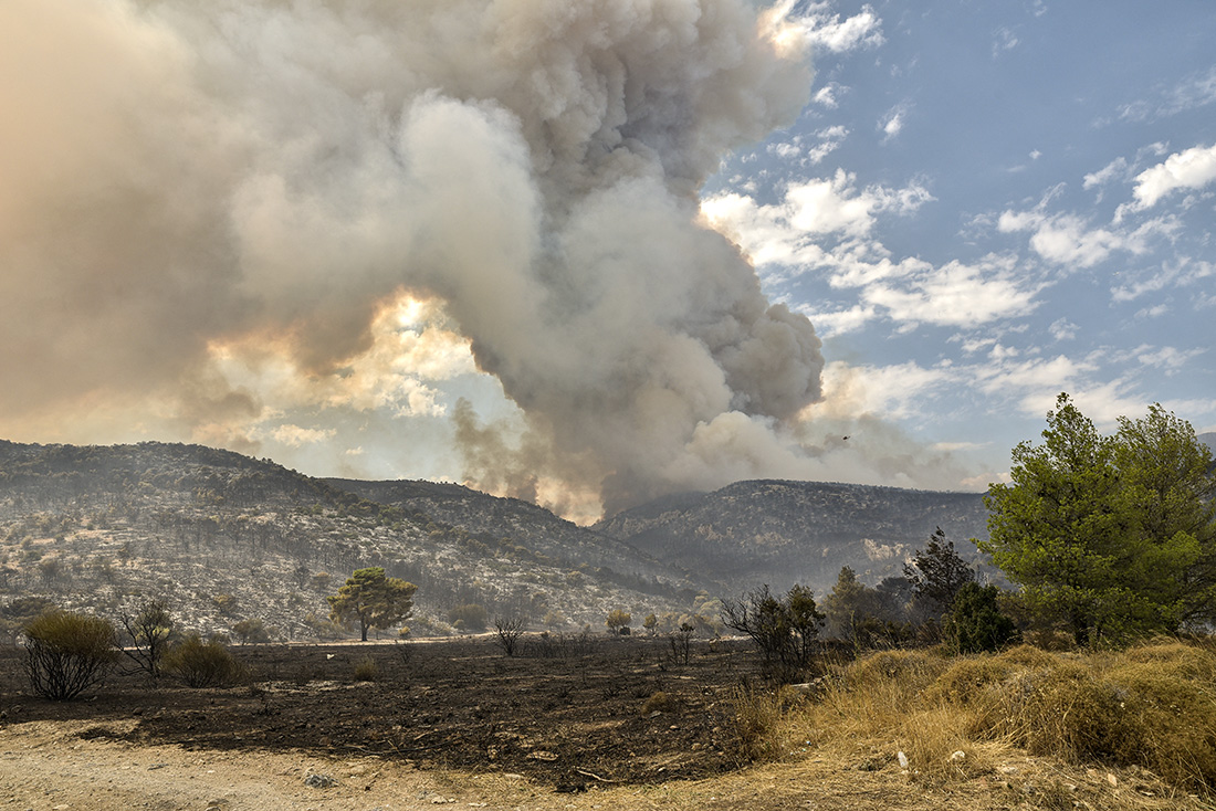 Crédit Spyros BAKALIS / AFP