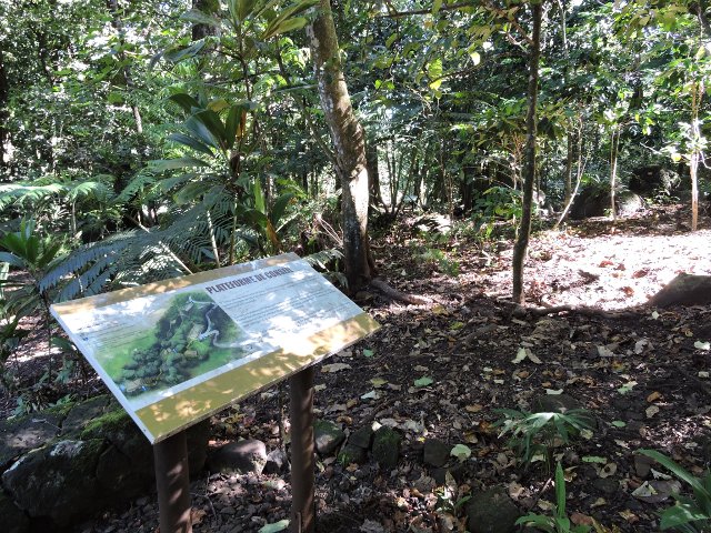 Des conseils de tout le Pacifique pour un tourisme durable