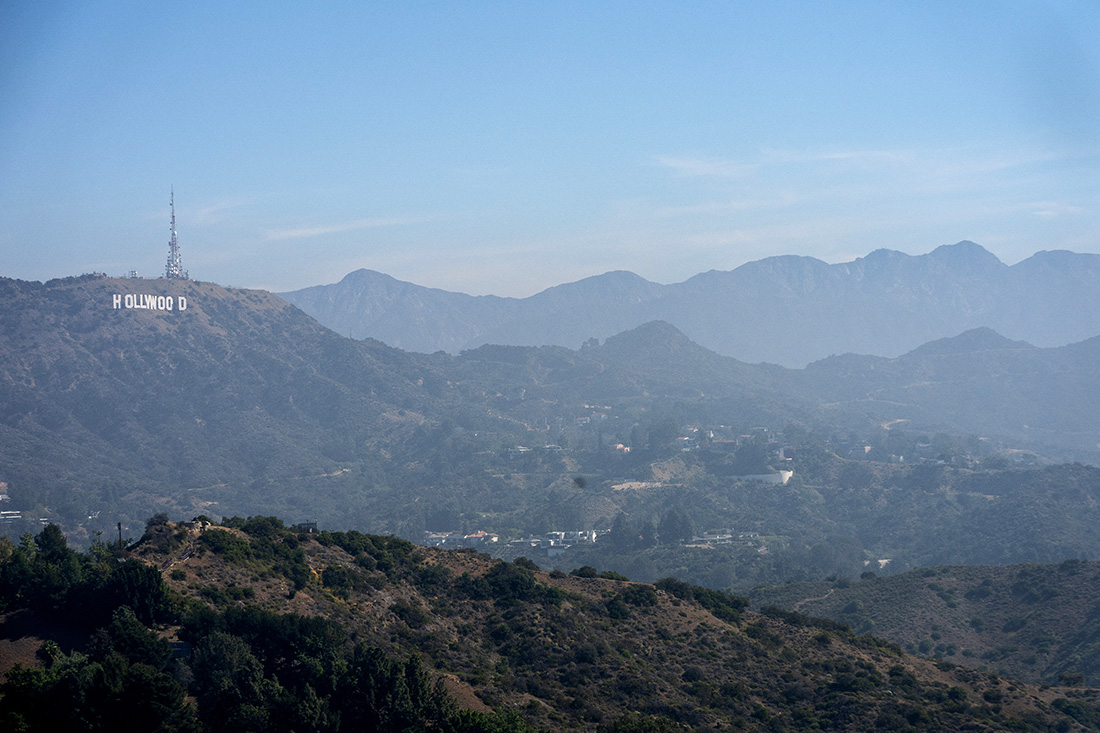 Stefani Reynolds / AFP