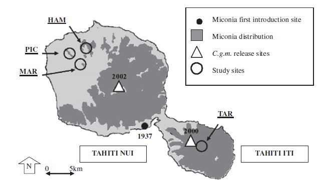 Carte figurant la zone d'infestation du miconia et les points d'introduction du champignon servant d'arme biologique
