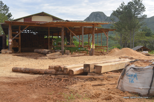 La scierie de Tubuai a l'intention de développer encore les débouchés commerciaux de la filière bois.