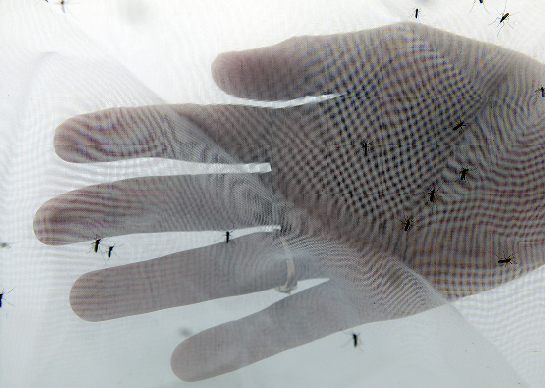 Crédit PATRICE COPPEE / AFP