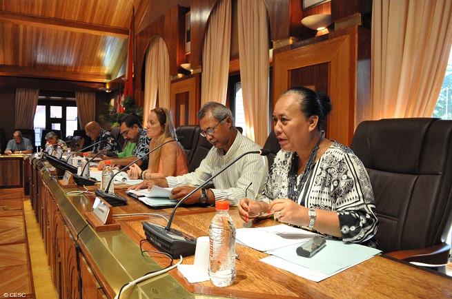 Lucie Tiffenat, secrétaire générale du syndicat Otahi était co-rapporteur du projet d'avis (Crédit photo : CESC)