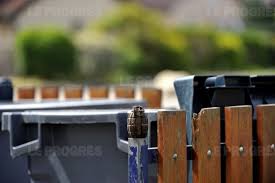 Serbie: "ne jetez pas les grenades à la poubelle", exhortent les autorités