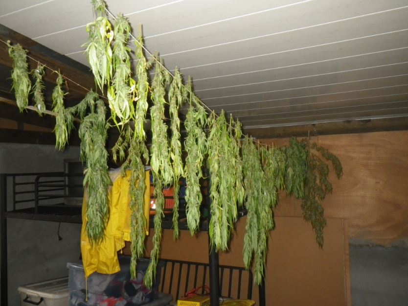 Un gros planteur de Papara incarcéré à Nuutania