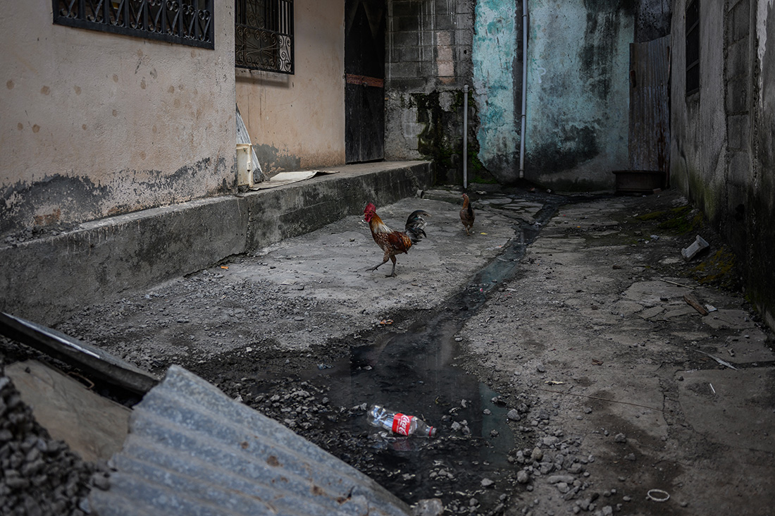 Crédit Philippe LOPEZ / AFP