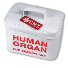Amendement sur les dons d'organes: les associations de greffés divisées