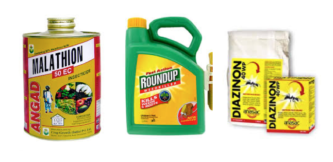 Cinq pesticides classés cancérogènes "probables" ou "possibles" par l'agence du cancer de l'OMS