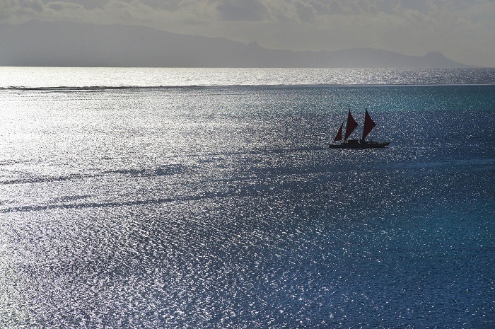 Un cliché de Danee Hazama à découvrir dans la 5e expo Hoho'a.