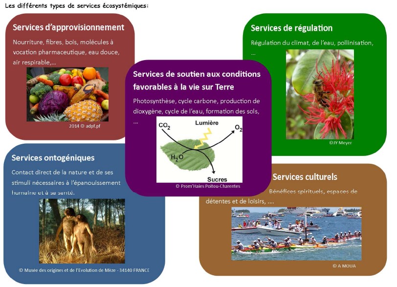 Appel à candidatures pour organiser la 24ème édition de Fête de la science 2015