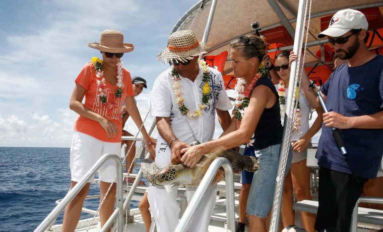 Le Président relâche la tortue Tereori