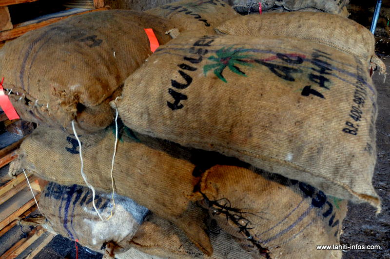 L'achat de coprah est interrompu dans les îles suite au mouvement de grève à l'huilerie de Tahiti