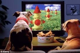 DogTV, chaîne pour toutous désoeuvrés, arrive en France