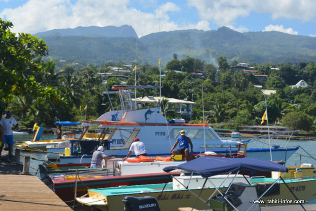 Une vingtaine de bateaux de pêche de Faa'a compose la flottille de la FEPSM prête à se porter au secours de personnes en difficulté au large. En 2015, les sauveteurs en mer de Faa'a ont déjà fait trois sorties. La principale cause des appels de détresse est provoquée par une panne, une avarie.