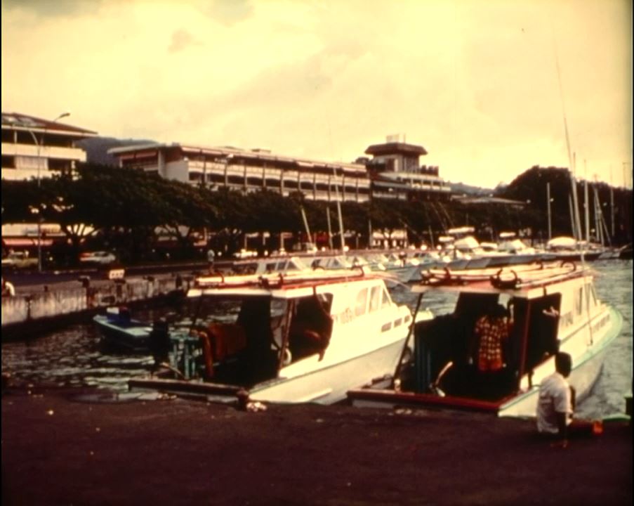 La 100e projection pour Cinematamua 