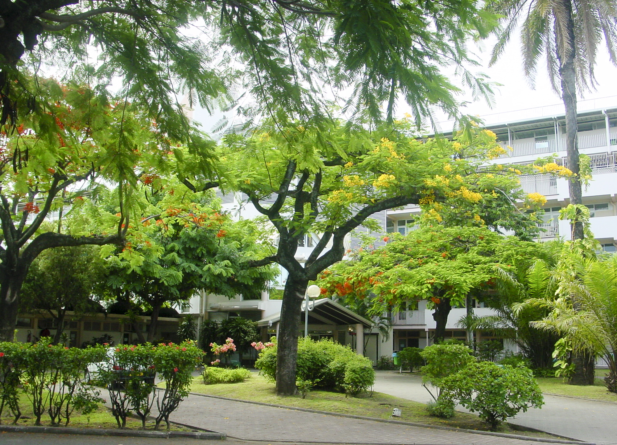 L'autre légende des Tupapa'u à Mamao