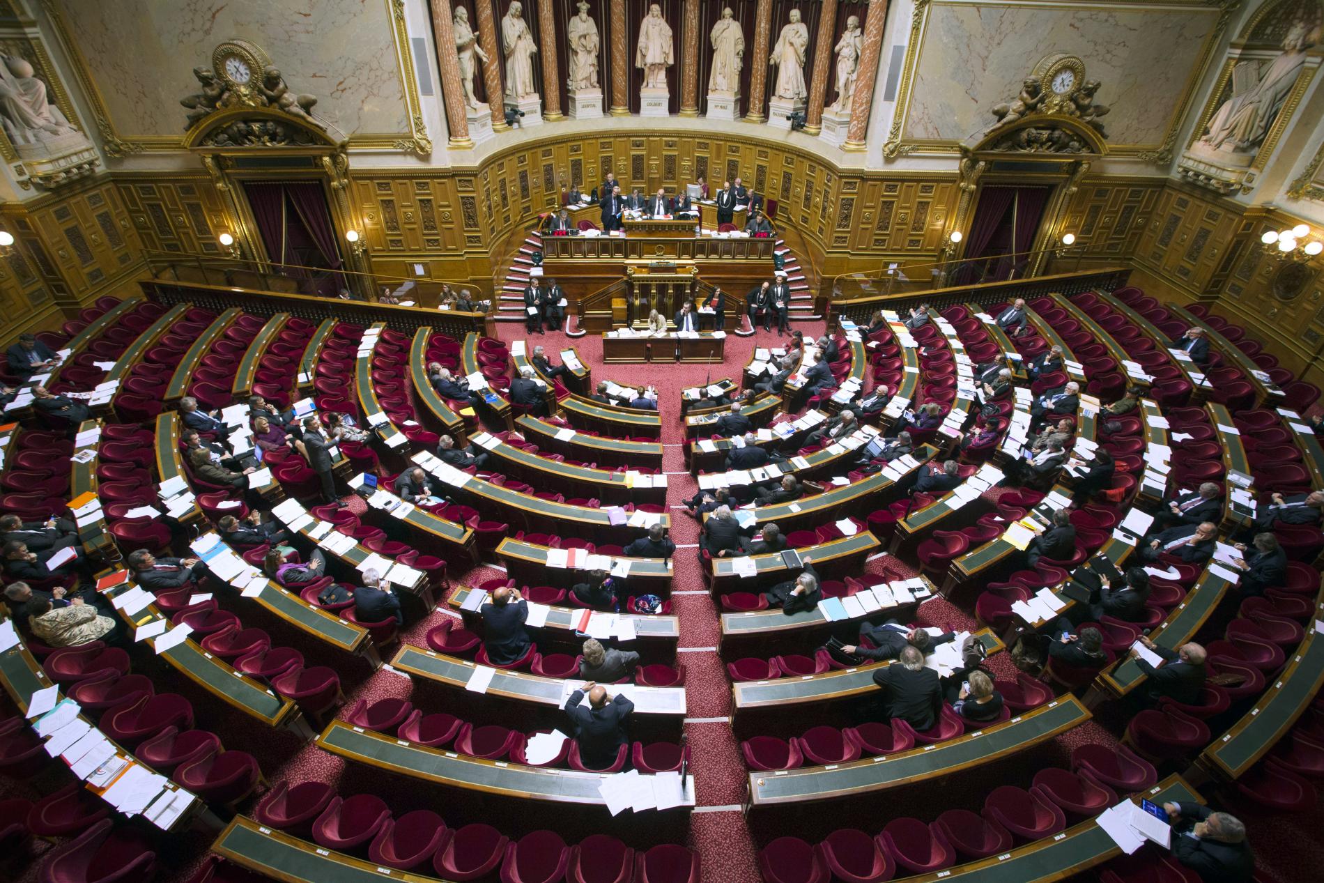 Depuis le 6 février dernier, il n'y a plus au Palais du Luxembourg de sénateurs polynésiens. Le conseil constitutionnel avait annulé les élections du 28 septembre dernier, estimant que le cortège accompagnant les deux candidats orange avait "constitué une manœuvre pour faire pression sur les électeurs membres du collège sénatorial".
