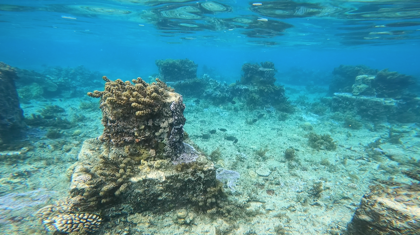 Les fondations existantes dans le contexte actuel.