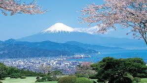 Japon: un volcan entre en activité dans une région touristique