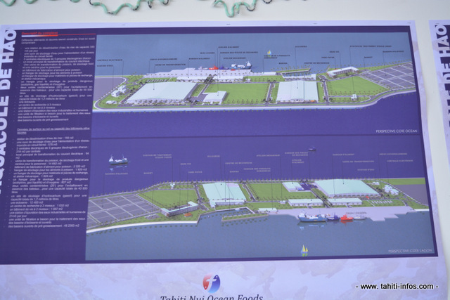 Une vue des installations prévues sur le site de la ferme aquacole de Hao, situé à l'arrière de l'aéroport de l'atoll.