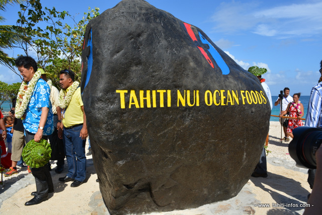 La première pierre monumentale de Tahiti Nui Ocean Foods, un bloc de 15 tonnes transporté spécialement par bateau de la Punaruu jusque sur l'atoll de Hao. Elle porte désormais le logo de la société. C'est le premier symbole visible à Hao de ce projet pour lequel les discussions ont démarré il y a trois ans.