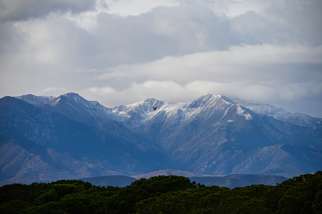 Crédit Ed JONES / AFP